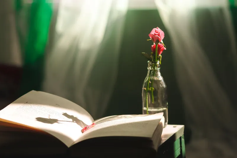 The Quiet Ones: Why the Most Powerful Indie Comics Right Now Are Barely Raising Their Voice